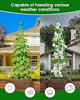 MYMULIKE Garden Trellis 165cm Obelisk Plant Support Tower for Climbing Vines view 6