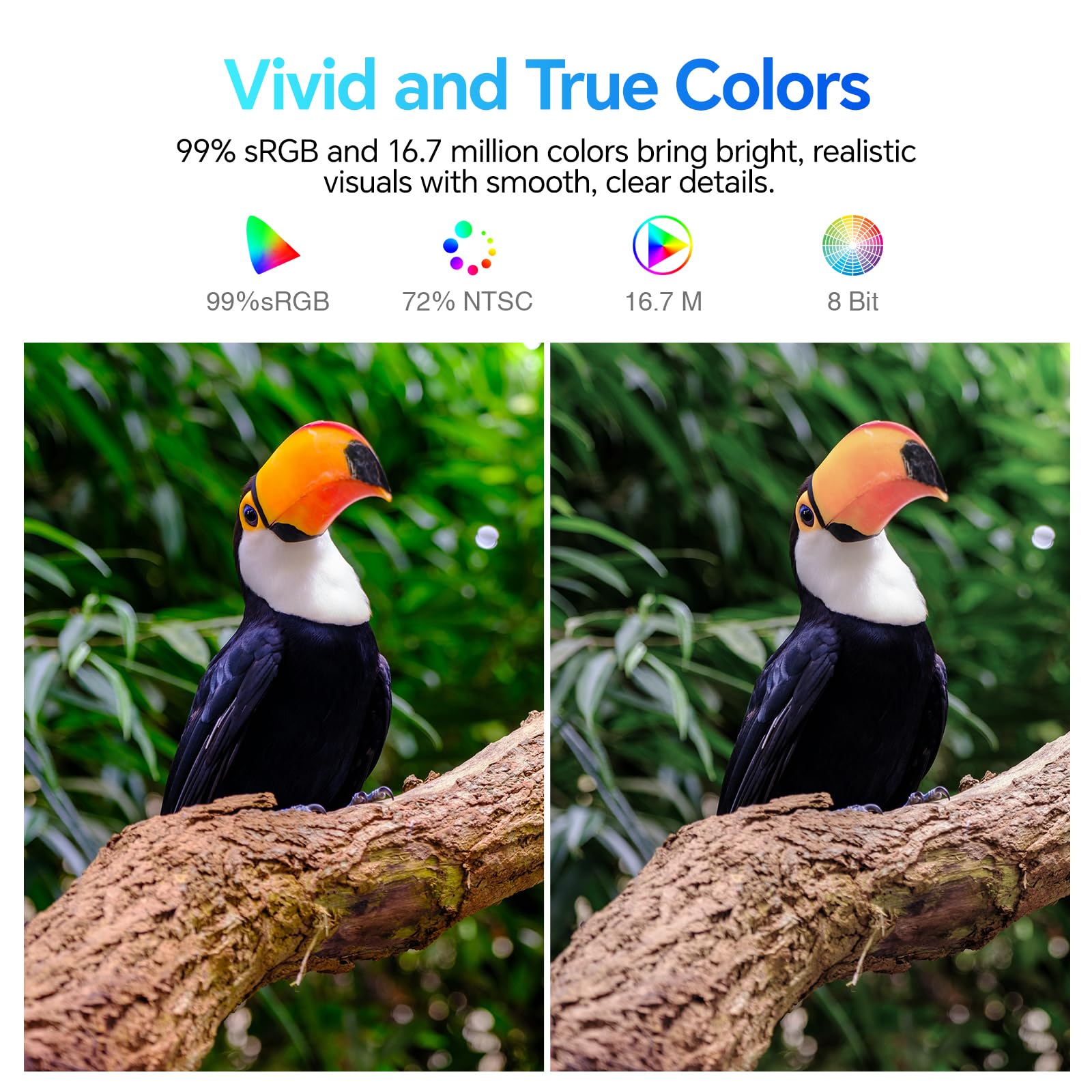 Koorui E2711K Gaming Monitor Front View Showing Thin Bezels