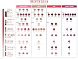 Burt's Bees 100% Natural Moisturising Tinted Lip Balm Zinnia 4.25g Pack of 2 view 7