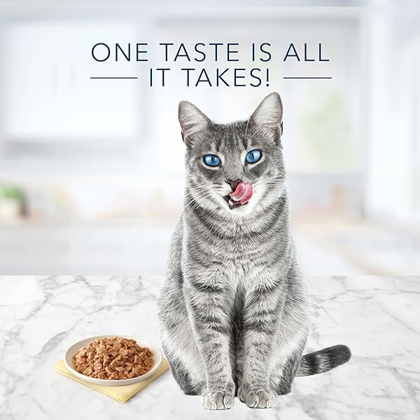BLUE BUFFALO TASTEFULS NATURAL FLAKED WET CAT FOOD VARIETY PACK, TUNA, CHICKEN AND FISH & SHRIMP ENTRÉES IN GRAVY 5.5-OZ CANS (12 COUNT – 4 OF EACH)