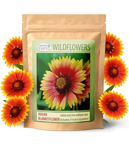 Blanketflower Indian Perennial, 500 Flower Seeds Per Packet – Isla's Garden