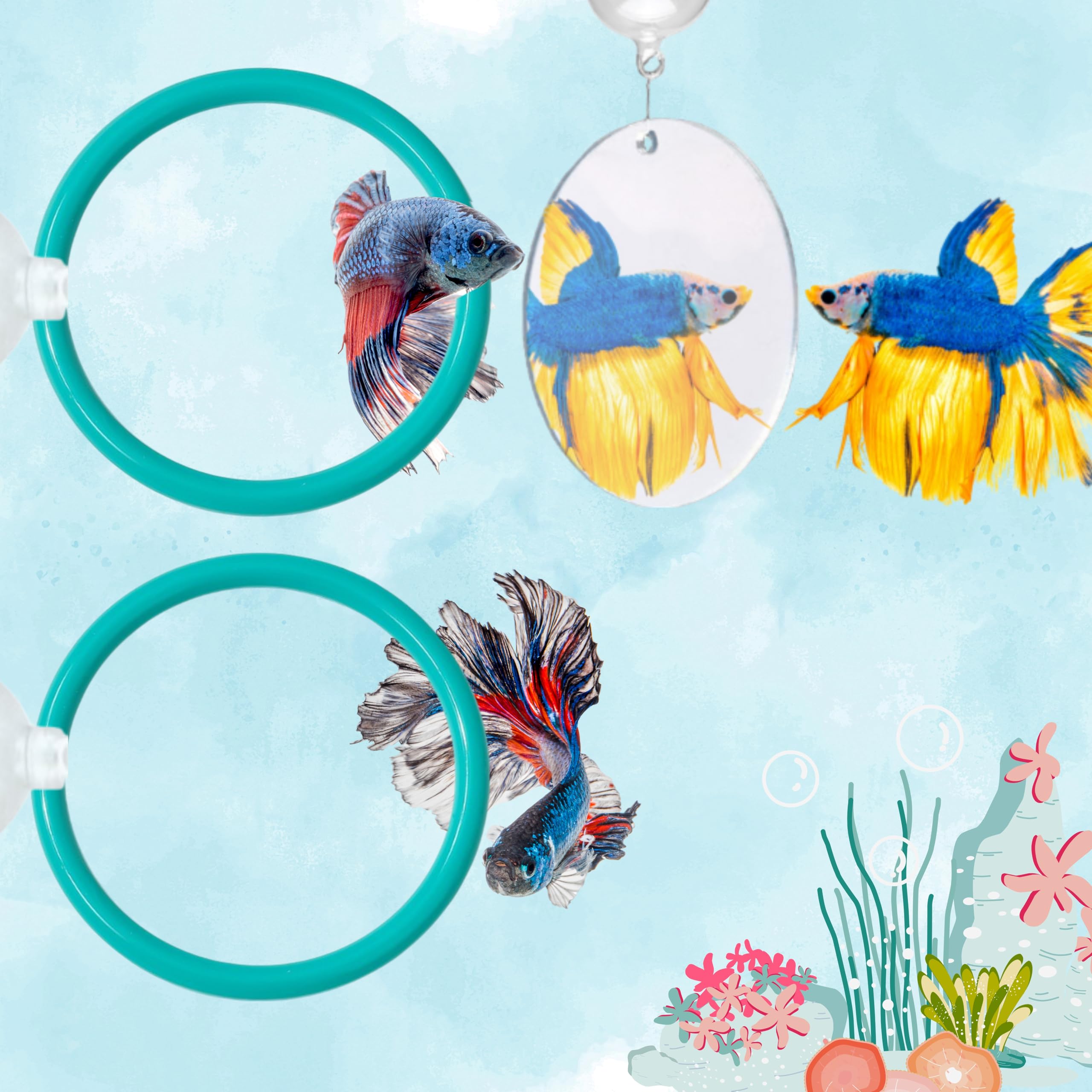 Photo 1 of 2 pcs Betta Ring Enrichment Toys with 1 pcs Betta Mirror, Exercise Training Ring and Floating Mirror for Fish Tank, Aquarium Feeding Rings with Floating Mirrors, Fish Toys, Bettas Toy (Teal, M-70mm)