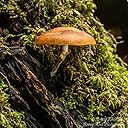 Great to provide additional lighting