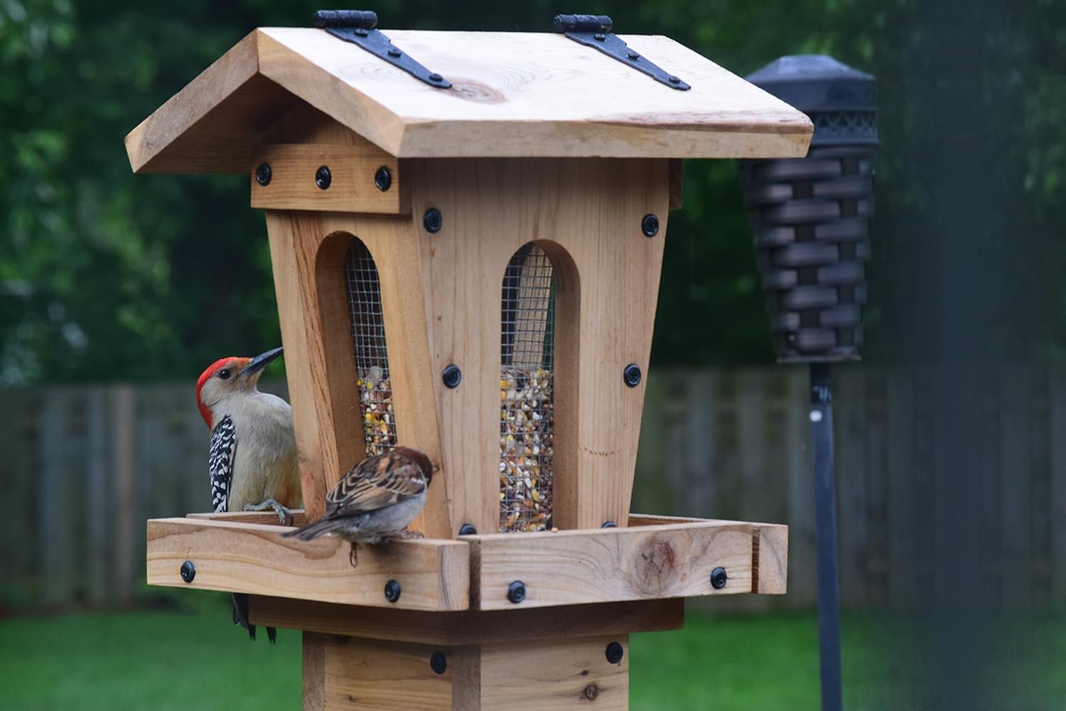 Amazon Com The Hut All Cedar Bird Feeder Handmade