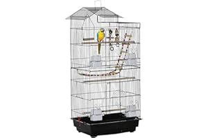 PawHut 39" Bird Cage for Budgie, Cockatiel, Conure, Small Birds, Parrot Cage with Ladder, Swing, Toys, Perches, Tray, Feeding