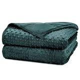Alomidds Weighted Blanket, Luxury Velvet Weighted Blankets for Kids,Warm and Breathable Soft and Comfort Minky, Cute Heavy Blanket with Premium Glass Beads (41"x60" 7LBS, Green)