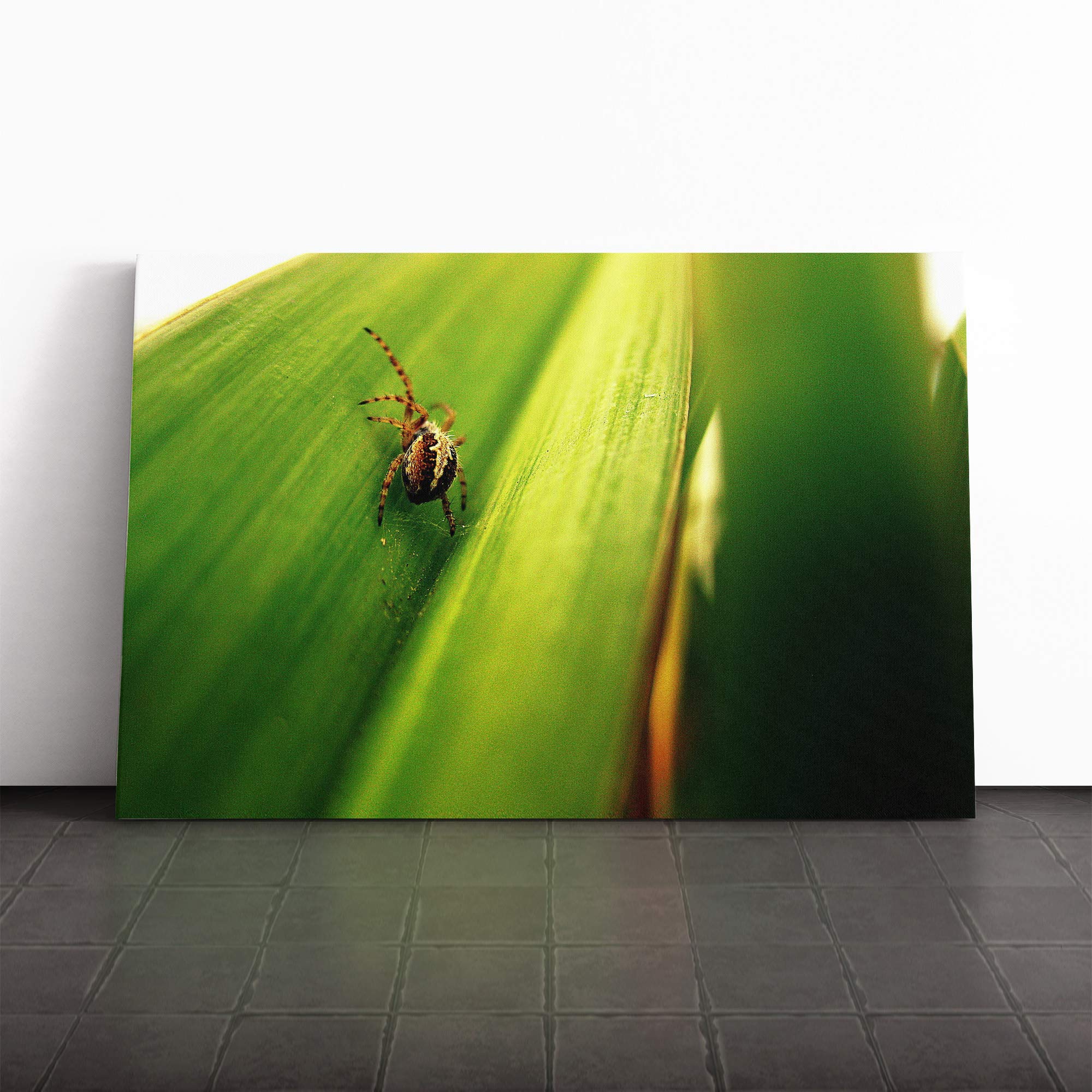 Spider (3) Canvas Print | Gallery Wrapped 30mm Frame Wall Art | 20x14 inches | Ready to Hang | Modern Animal Picture | Living Room Bedroom Lounge Office