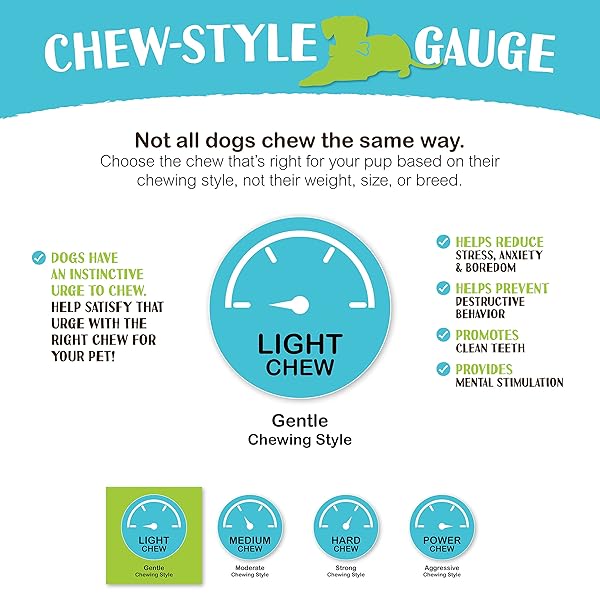 RAW PAWS BEEF ESOPHAGUS STRIPS FOR DOGS, 6-INCH (20-COUNT) – ALL NATURAL CHEWS – FREE-RANGE BEEF ESOPHAGUS STRIPS – DOG TAFFY CHEWS – SINGLE INGREDIENT CHEW FOR DOGS – COW JERKY TREATS