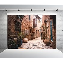 Buy CSFOTO Jerusalem Old Narrow Street Backdrop Old Jerusalem Backdrop Spring Flowers Sunshine Background For Photography Backdrop Ancient Stone Wall Backdrop Cave Backdrop - View #12