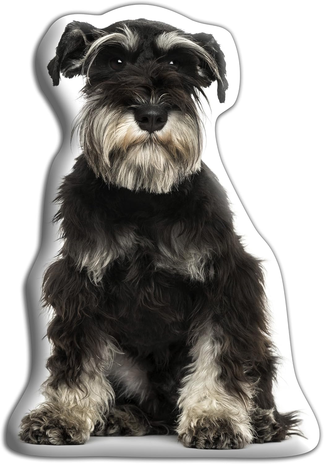 rose gold chain for dogs