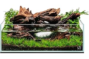 Ultum Nature Systems Ultra Clear Rimless Aquarium - Low Iron Glass Fish Tank with 45° Mitered Edges, 5mm-12mm Thick, Leveling Mat Included (5S, Shallow, 2 Gallon)