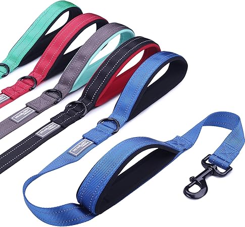 dog leash with extra handle