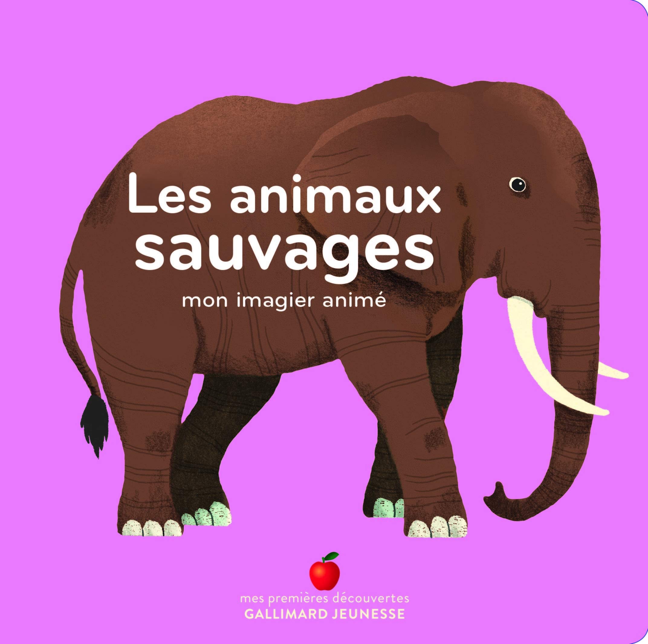 Les Animaux Sauvages Mon Imagier Anime De 1 A 3 Ans Amazon Fr Collectif Dupont Clemence Livres