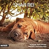 2025-2026 Wall Calendar,Shar Pei Wall