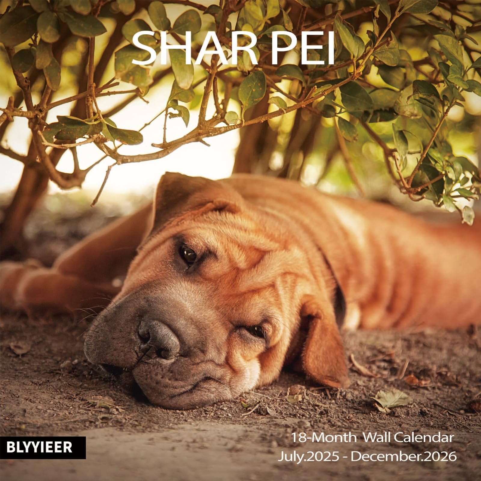 2025-2026 Wall Calendar,Shar Pei Wall