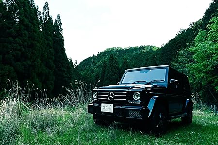 Amazon Co Jp 90p Fc0003 Grn Ar メルセデスベンツ Gクラス ゲレンデ Amg G63 G550 G350d W463型 カスタム 張替用 アートボード アートパネル Artmart アートマート キャンバスアートのみフレーム別売り アルミフレームで絵画や写真を表現 車 バイク