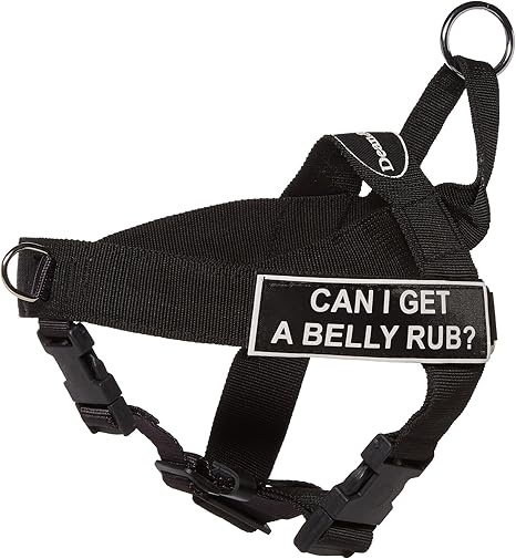 Amazon Com Dean Tyler D T Universal Cigabellyr Bk Xs Dt Universal No Pull Dog Harness Can I Get A Belly Rub X Small Fits Girth 53cm To 64cm Black Pet Harnesses