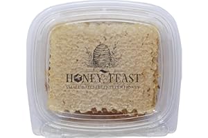 Honey Feast 10oz Pure Honeycomb Square - Raw Edible Honey Comb, Natural Unfiltered Honey