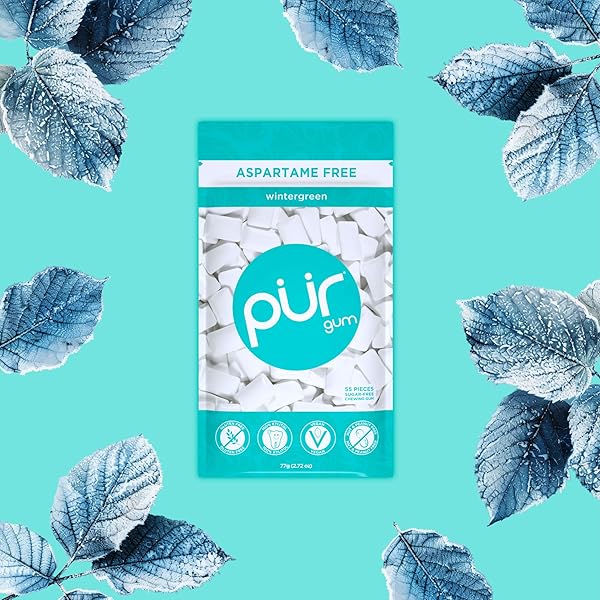 PUR GUM | ASPARTAME FREE CHEWING GUM | 100% XYLITOL | NATURAL WINTERGREEN FLAVORED GUM, 55 PIECES (PACK OF 1)