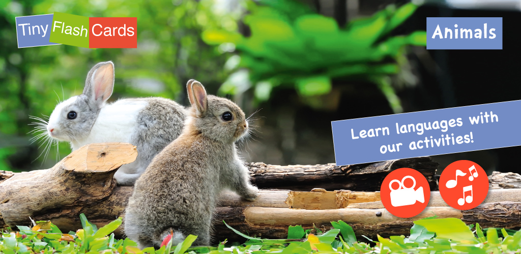 Sami Tiny Flash Cards Animals preschool kids apps, 30
