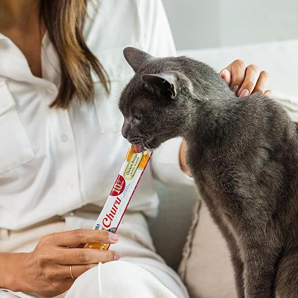 INABA CHURU FOR SENIOR 10+, CREAMY LICKABLE CAT TREATS WITH TAURINE, VITAMIN E & C, 0.5 OUNCES EACH, 60 TUBES, TUNA & CHICKEN VARIETY