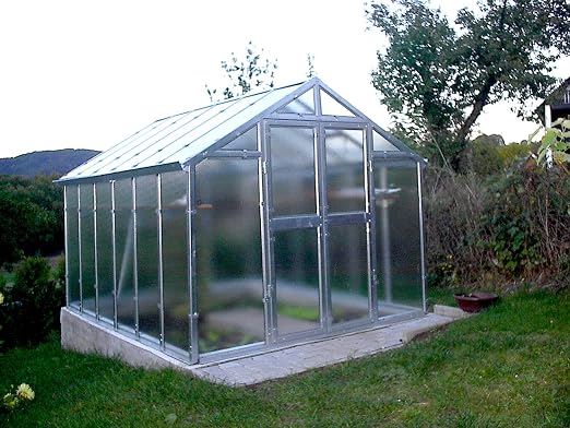 myowngreen Invernadero con Cristal irrompible (2, 5 x 3, 05 m ...