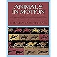 Amazon.com: Animals in Motion (Dover Anatomy for Artists ...