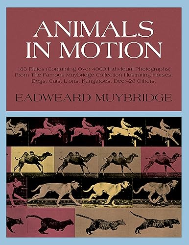 Download Animals in Motion PDF