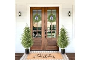 ZESUA Christmas Decorations - Outdoor Christmas Tree - 2 Pack 3FT Artificial Norfolk Pine Tree - Xmas Decor for Home Indoor Outdoor Entryway Party Living Room Office Porch