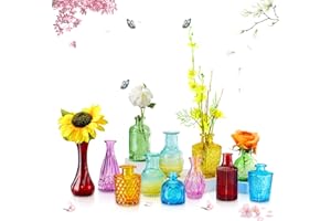 HIONXMGA 12PCS Colorful Bud Vases in Bluk,Small Clear Glass Bud Vase for Flowers,Mini Cute Vintage Vases for Rustic Wedding and Centerpieces Table Decorations