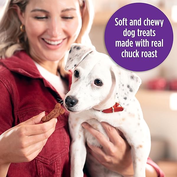 MILK-BONE SOFT & CHEWY DOG TREATS, BEEF & FILET MIGNON RECIPE, 25 OUNCE
