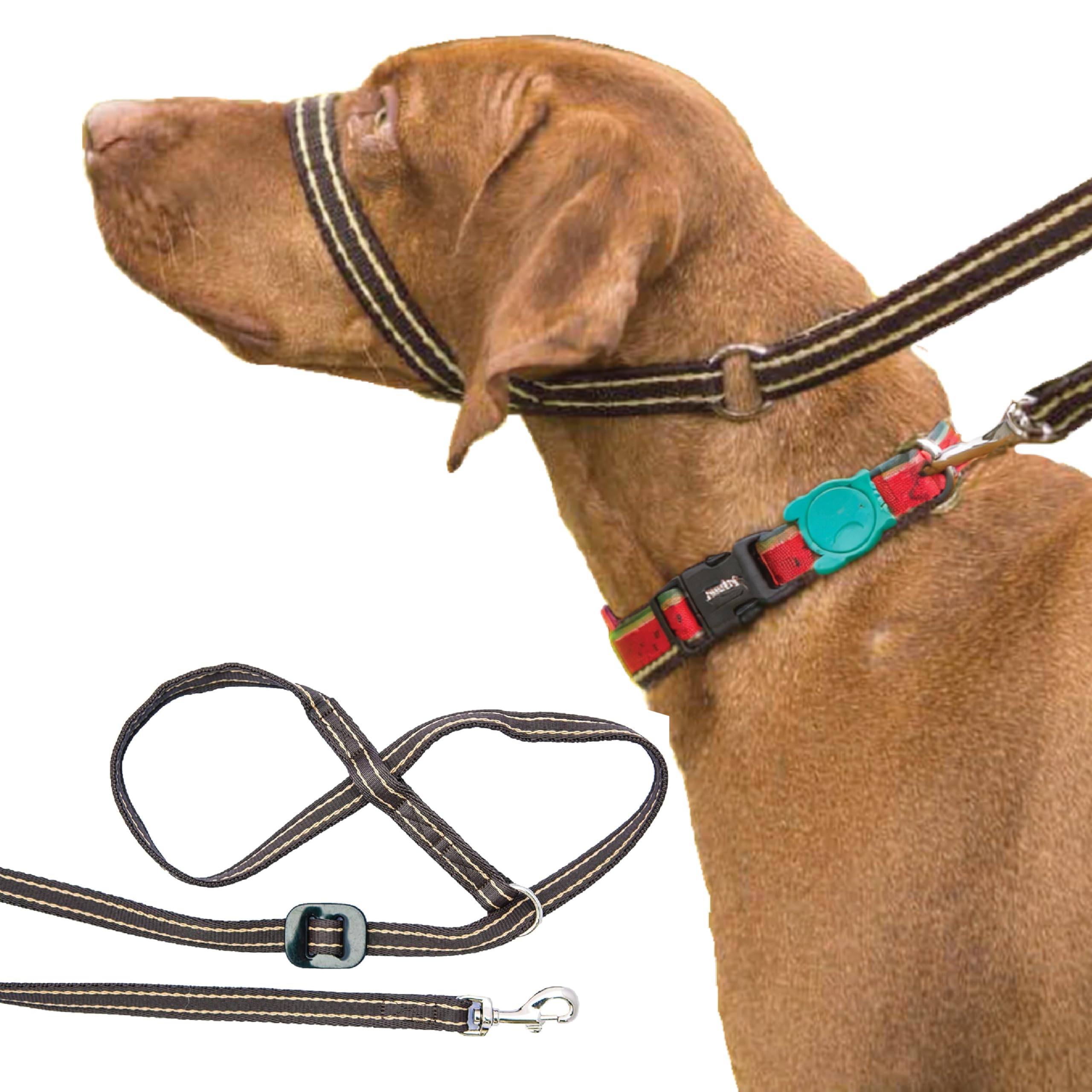 Gencon - Clip-to-Collar Dog Headcollar and Lead - Trainer Approved - One Size Dog Training & Behaviour Aid - Soft & Gentle Design with Trigger Clip - Right - Made in Britain - Coffee/Cream