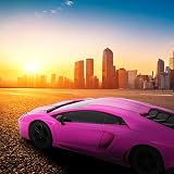 CMJ RC Cars Lamborghini Pink Aventador LP700-4 1:24 2.4GHz Lights view 5