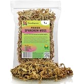 Premium New Zealand Sphagnum Moss by Gardenera - Organic Hand Mixed Long Fibered Sphagnum Moss Orchid - 1 Quart