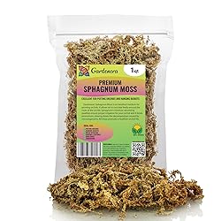 Premium New Zealand Sphagnum Moss by Gardenera