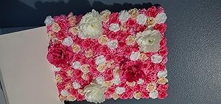 Review Image by Pieter Pieter