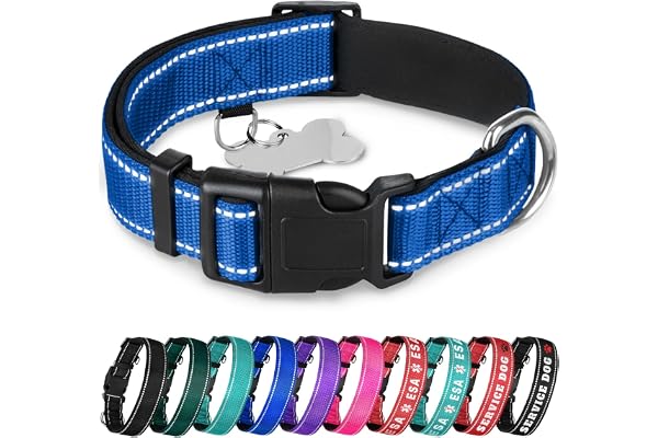 TECEUM Reflective Neoprene Padded Dog Collar with Quick Release Buckle | Navy Blue, Size S fits 10 to 16 in neck, 3/4 in wide