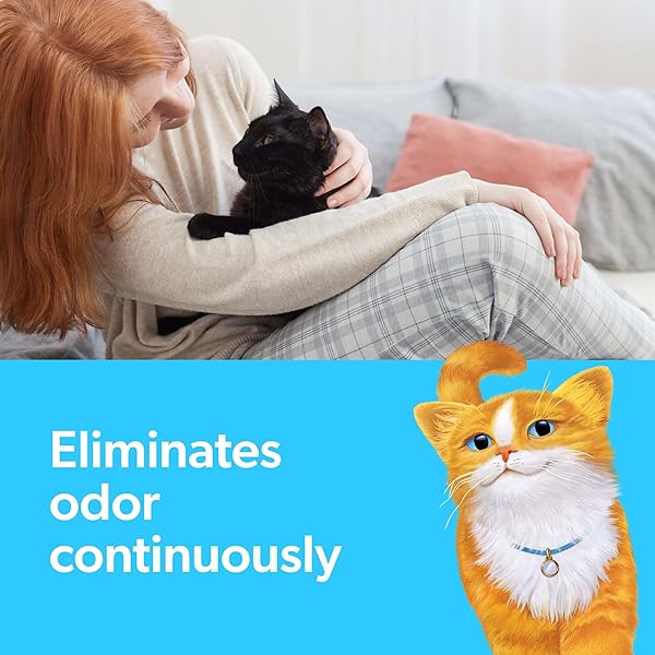 FRESH STEP ODOR SHIELD CLUMPING LITTER WITH FEBREZE FRESHNESS, 14 LB. BOX