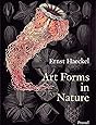 Art Forms in Nature: The Prints of Ernst Haeckel