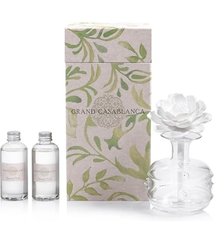 Amazon.com: Zodax Seychelles Porcelain Scented Diffuser Square