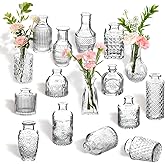16Pcs Clear Glass Bud Vases Bulk - Mini Vintage Bottle Set, Modern Small Flower Vases for Wedding Centerpieces, Dining Table Decor, Home Room Party Reception