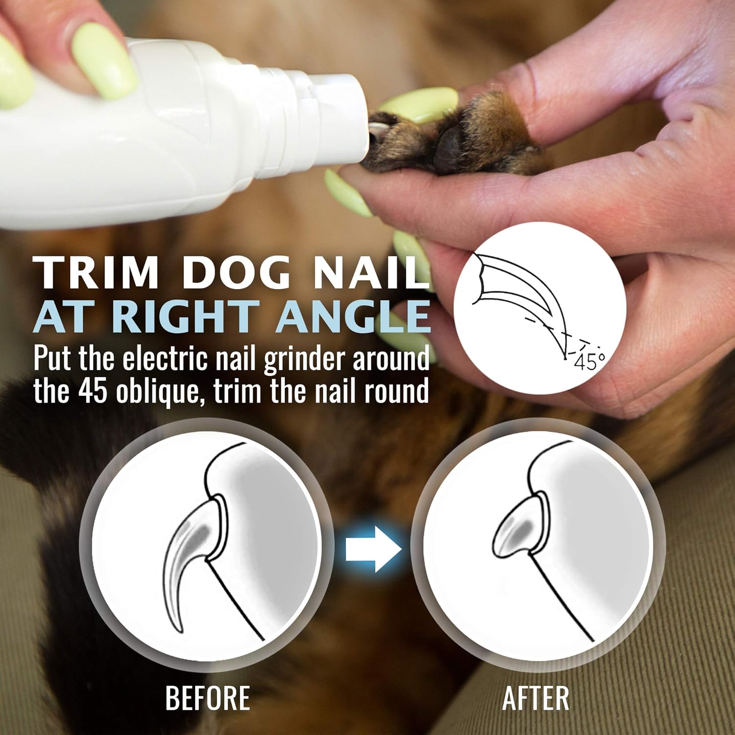 REXIPETS Dog Nail Grinder Clipper - Professional LED Rechargeable Electric Pet Nail Trimmer - Painless Paws Grooming & Smoothing - Quiet 2-Speed Motor - 3 Size Ports For Small Medium Large Dogs & Cats