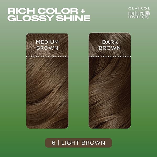 CLAIROL NATURAL INSTINCTS DEMI-PERMANENT HAIR COLOR, 6 LIGHT BROWN HAIR COLOR, PACK OF 1