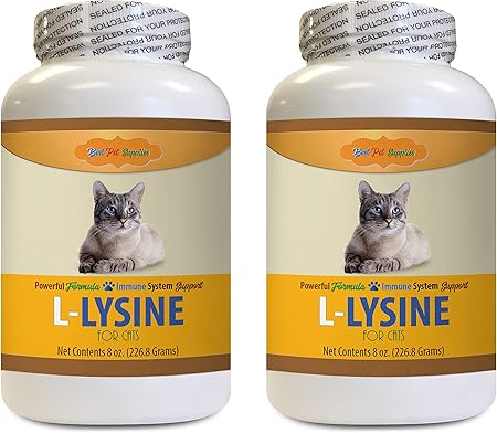 pumpkin and peanut butter dog biscuits