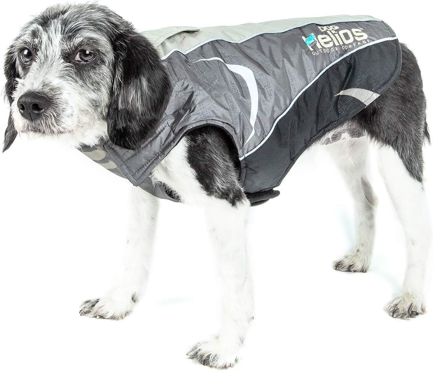 the dog coat company