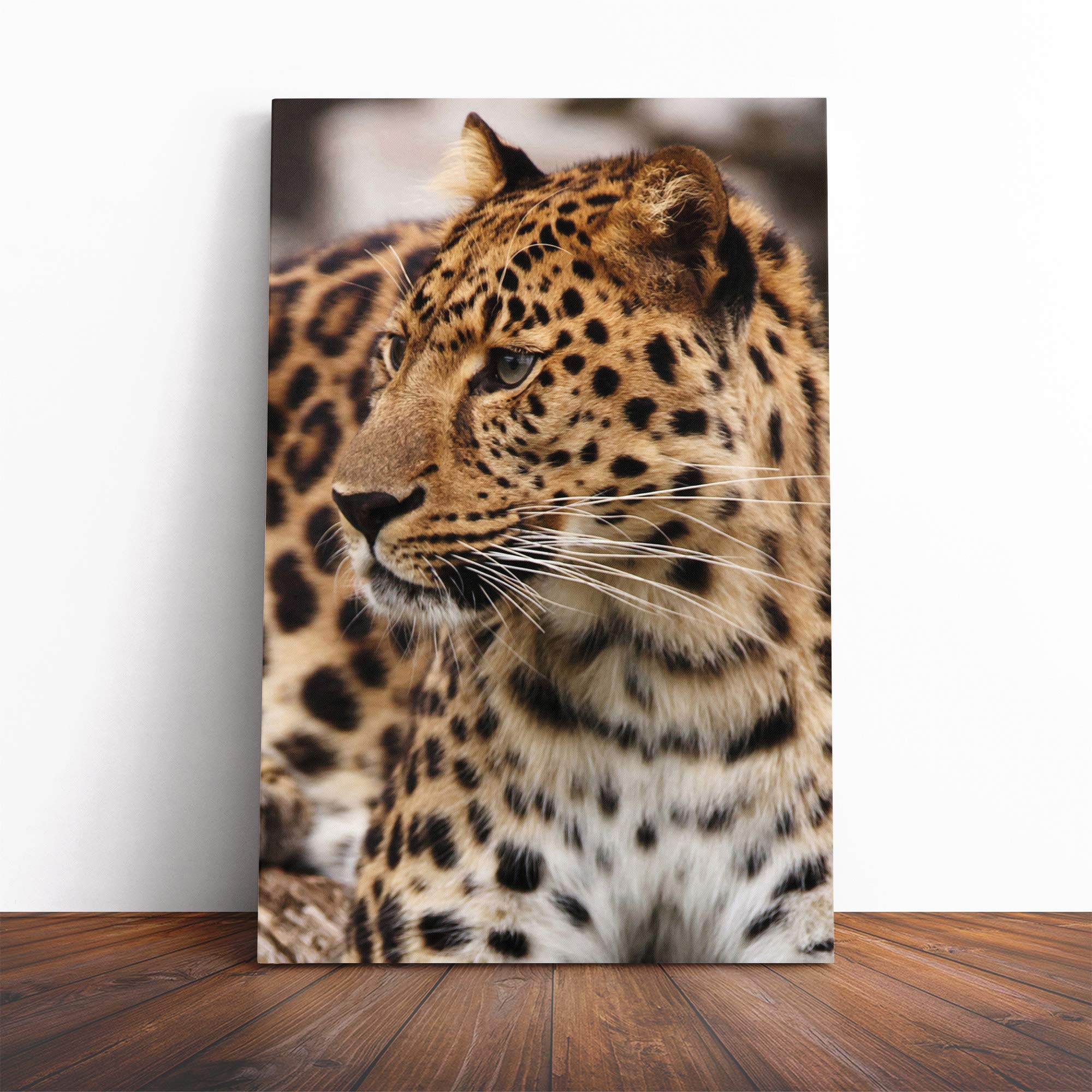 Leopard on Alert Canvas Print | Gallery Wrapped 30mm Frame Wall Art | 20x14 inches | Ready to Hang | Modern Animals Picture | Living Room Bedroom Lounge Office