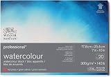 Winsor & Newton Watercolour Paper 100% Cotton 300 g/m² 20 Sheets Pad