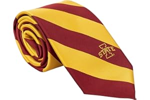 Desert Cactus Iowa State University Tie ISU Cyclones 100% Polyester with Logo Officially Licensed (Style A)