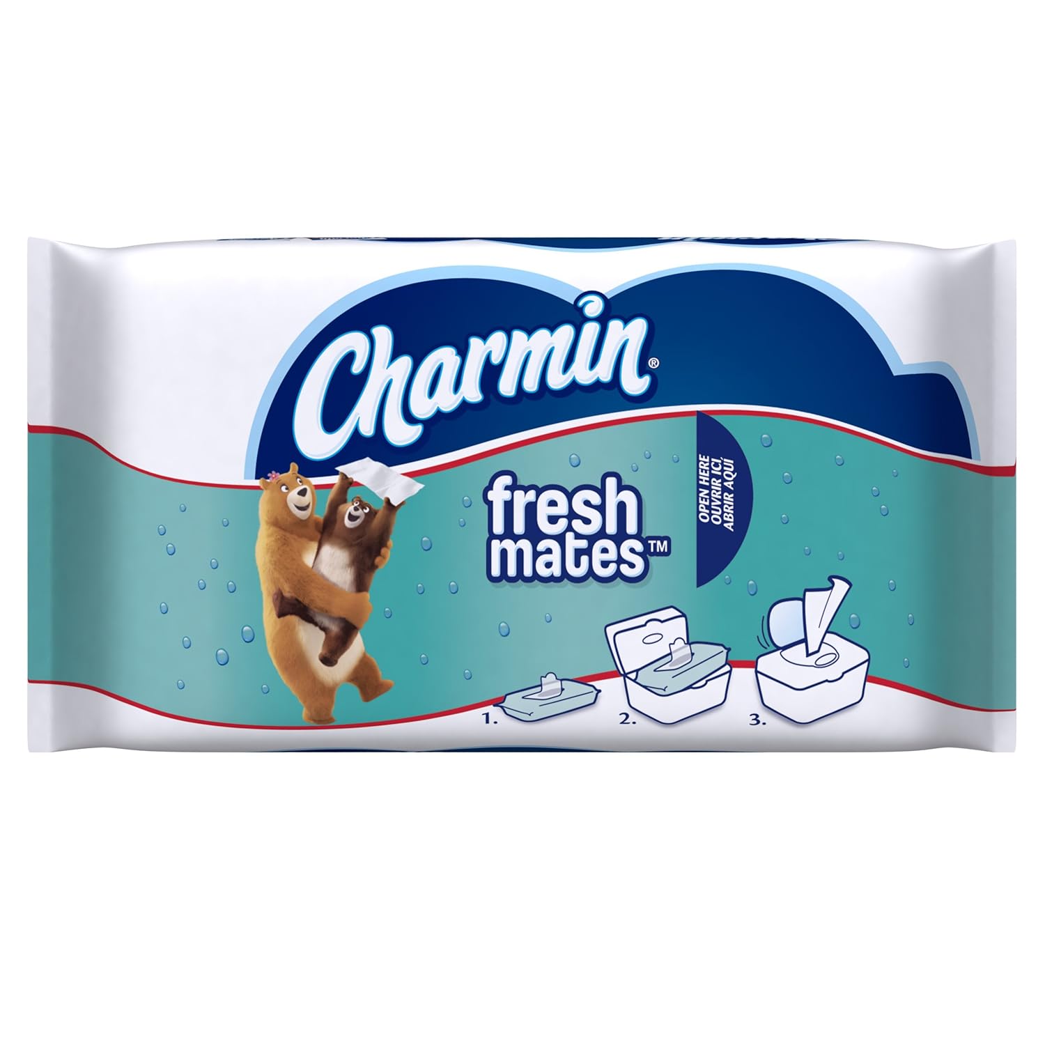 Charmin Freshmates Flushable Wet Wipes, 40 Count (Pack of 12) eBay