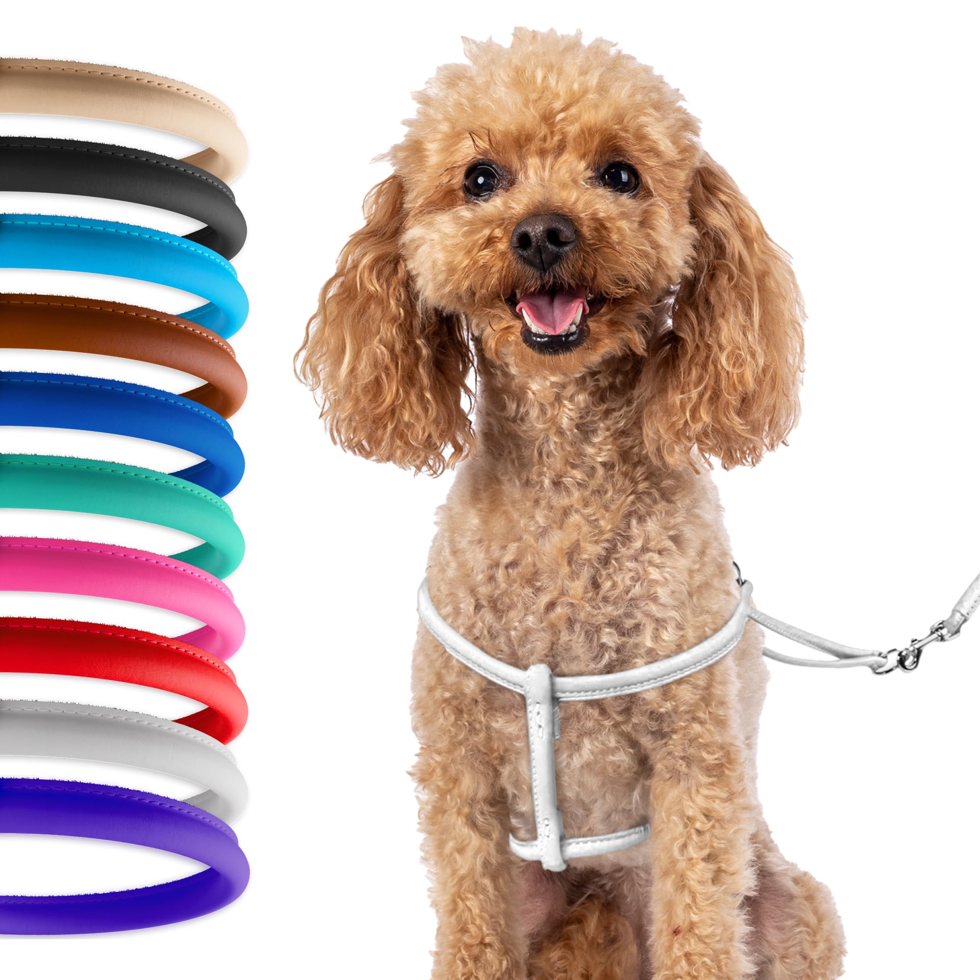 Photo 1 of CollarDirect Rolled Leather Dog Harness Small Puppy Step-in Leash Set for Walking Pink Red White Blue Green Black Purple Beige Brown Yellow (White, XS)